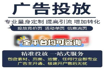 网络营销新篇章：竞价推广案例分析